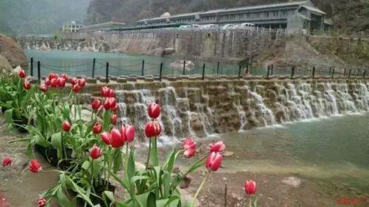 为城市更新贡献教育力量！市级教育基本建设重大工程2024年度推进会召开，多个重大项目启动开工