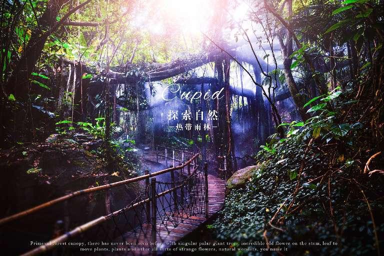 关于“新时代的春联”原创大赛征稿评审结果的公示