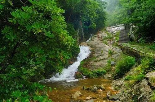 沙漠中寻宝